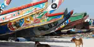 Senegal